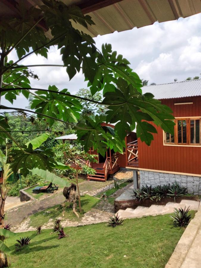 Guest House Quinta Natural Bangalots Graca Kültér fotó