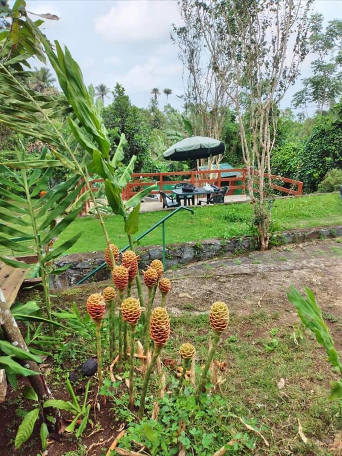 Guest House Quinta Natural Bangalots Graca Kültér fotó