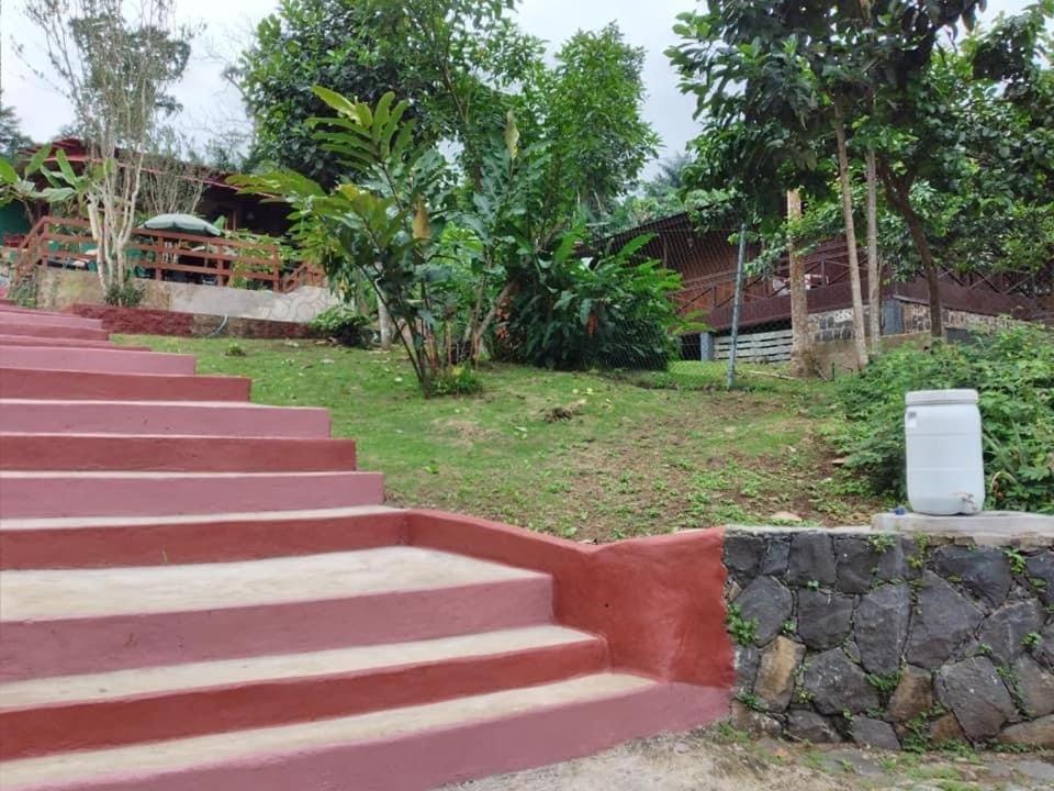 Guest House Quinta Natural Bangalots Graca Kültér fotó