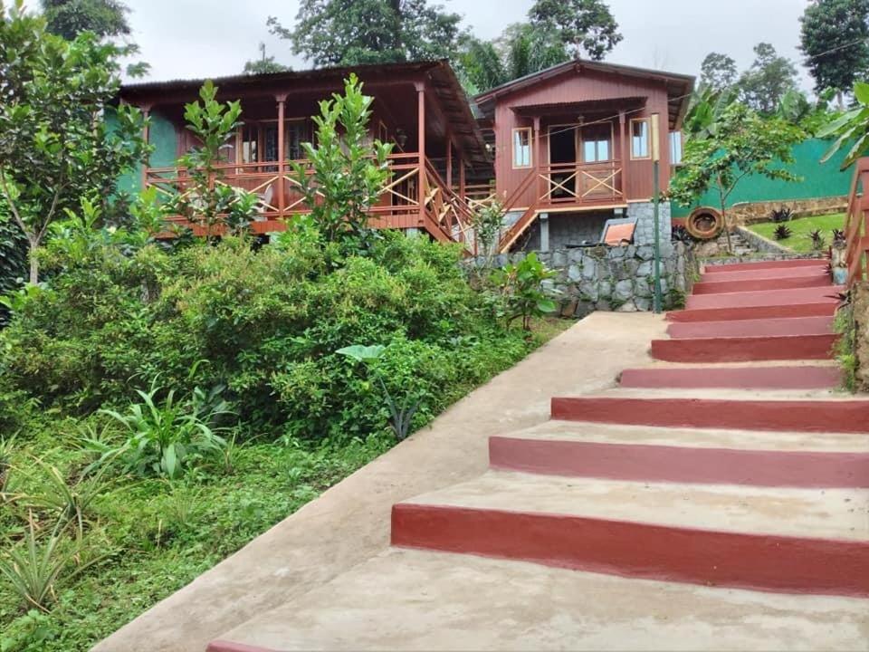 Guest House Quinta Natural Bangalots Graca Kültér fotó