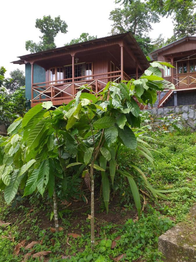 Guest House Quinta Natural Bangalots Graca Kültér fotó