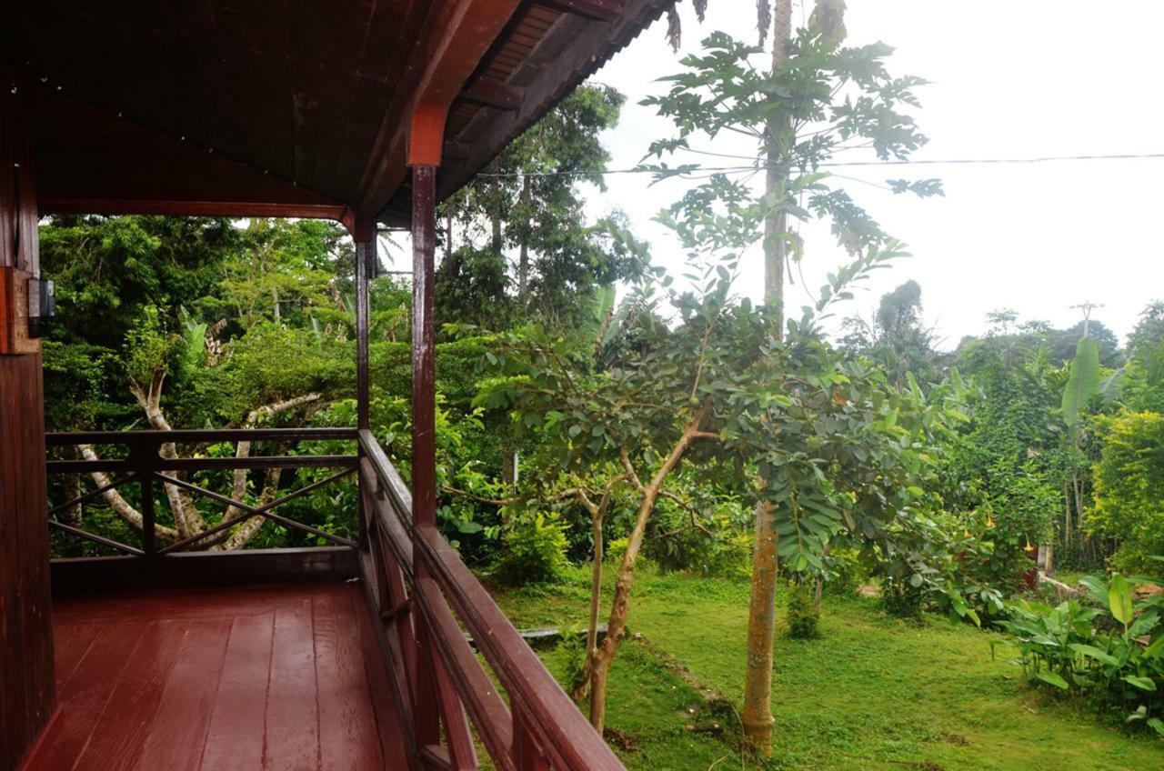Guest House Quinta Natural Bangalots Graca Kültér fotó