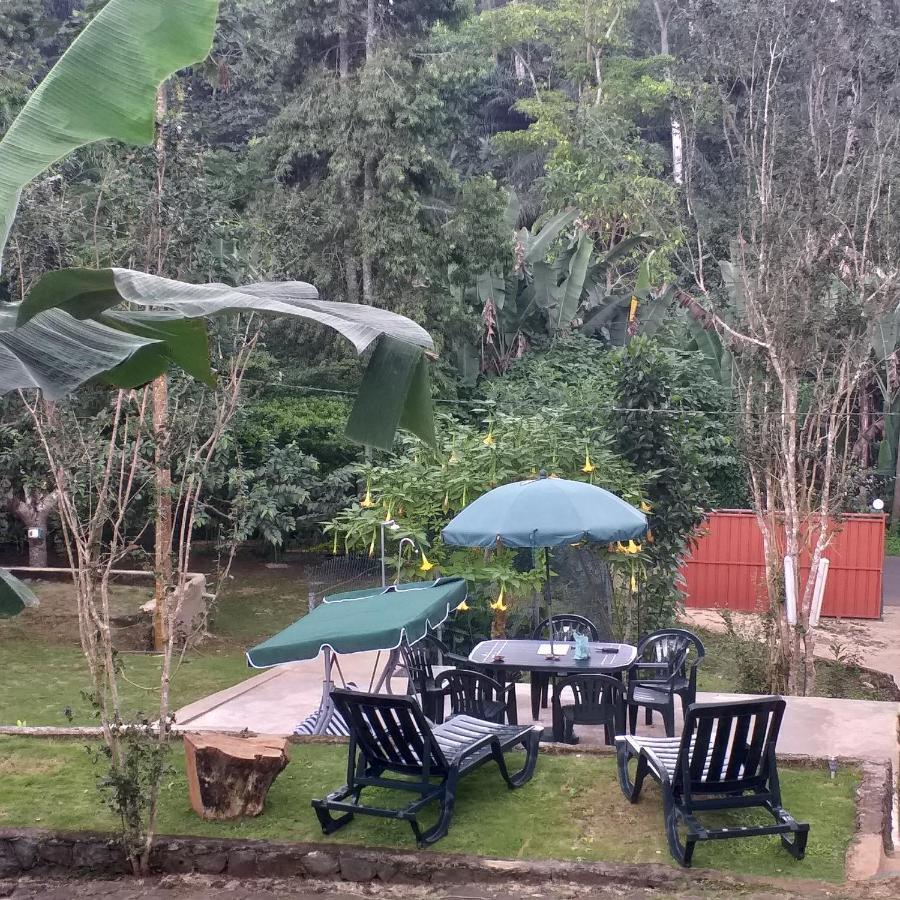 Guest House Quinta Natural Bangalots Graca Kültér fotó