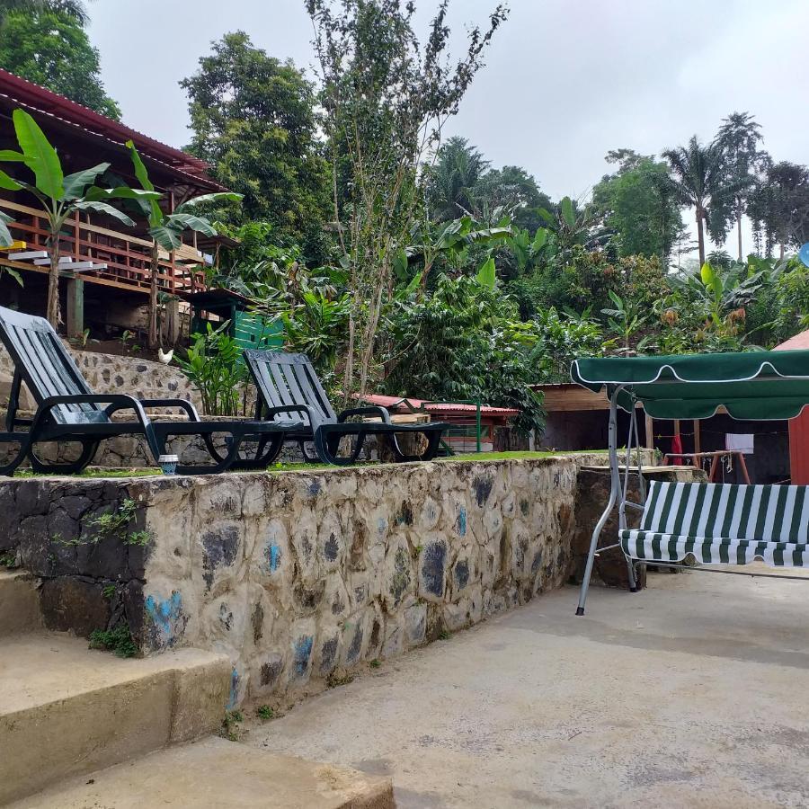 Guest House Quinta Natural Bangalots Graca Kültér fotó