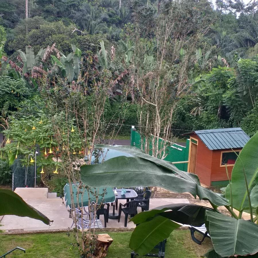 Guest House Quinta Natural Bangalots Graca Kültér fotó