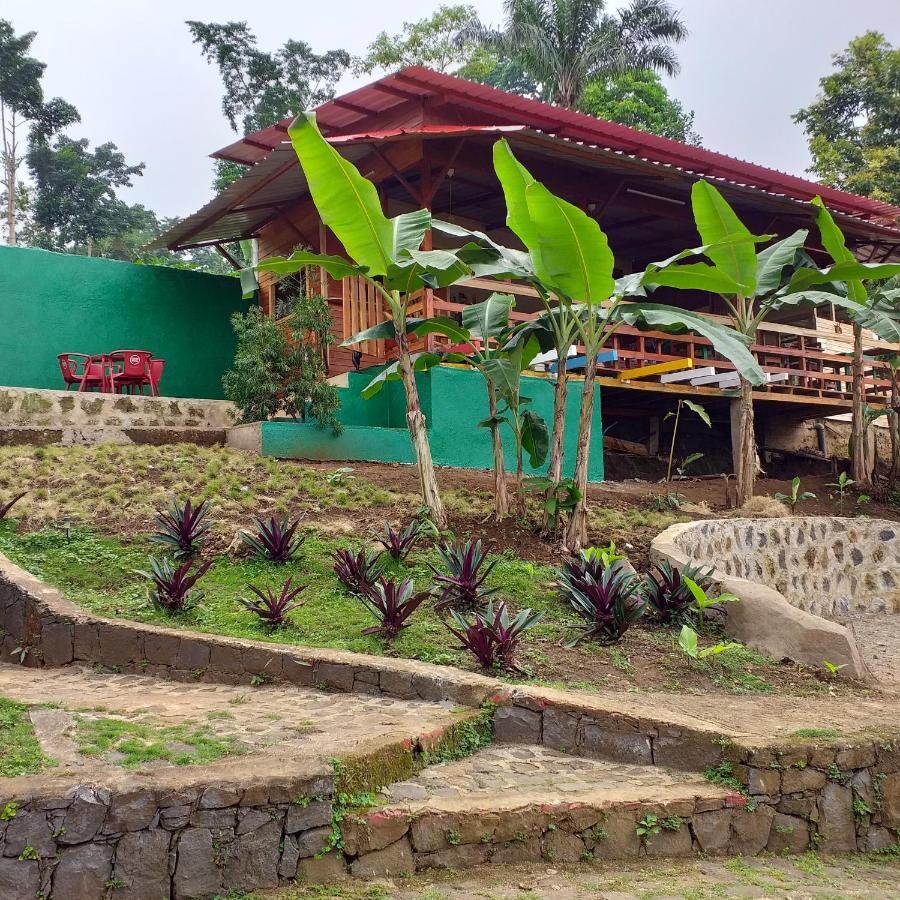 Guest House Quinta Natural Bangalots Graca Kültér fotó